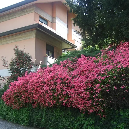 Canturio